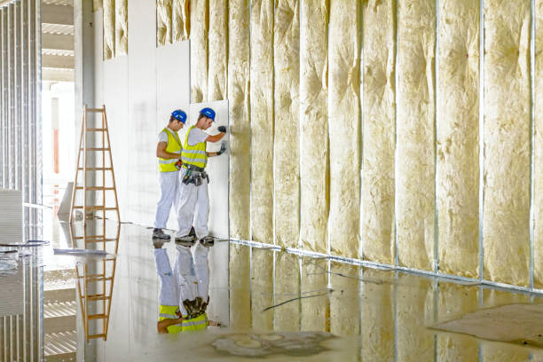 Best Insulation Installation Services in Wartburg, TN